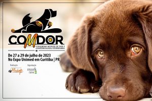 Comdor
